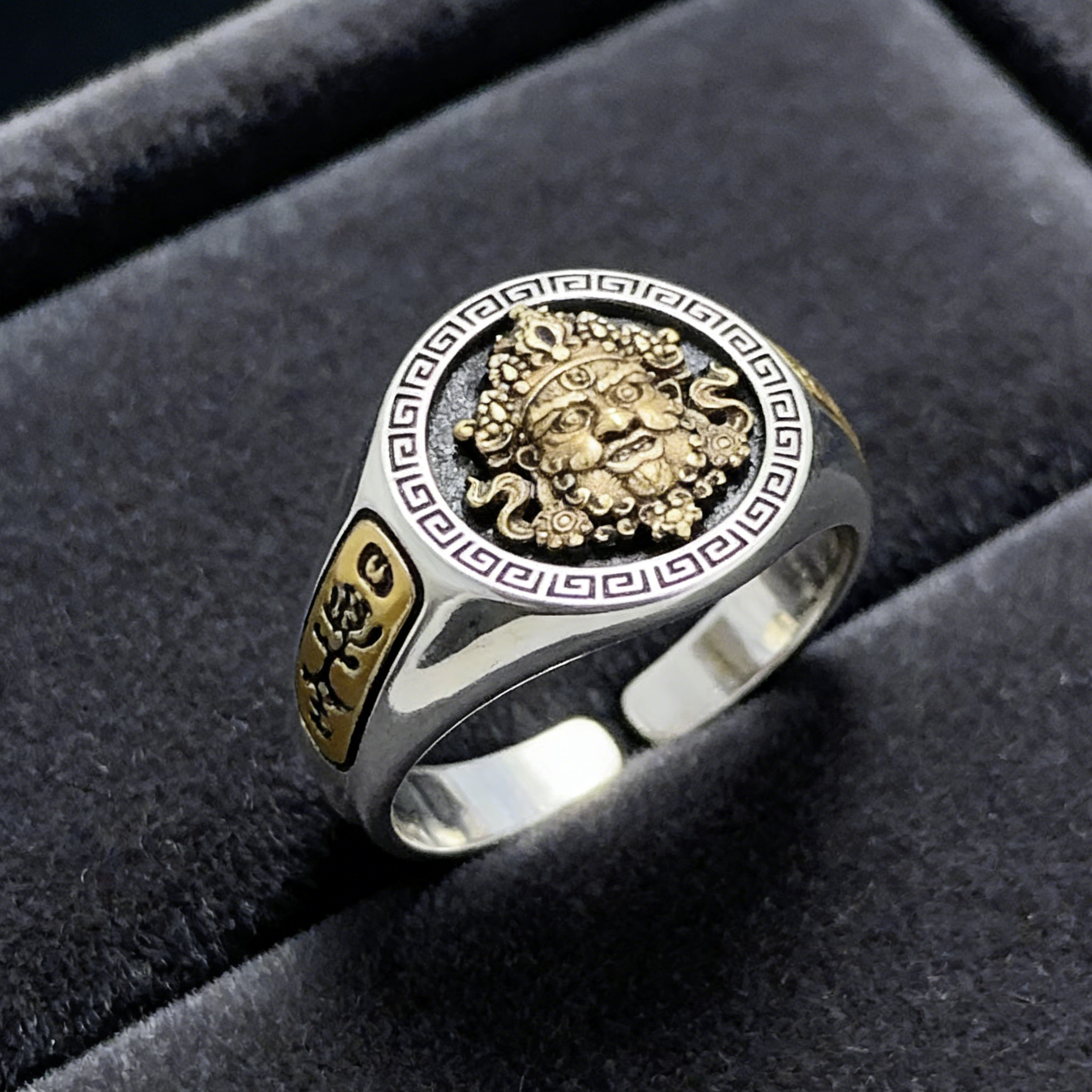 "The Gilded Mandate"