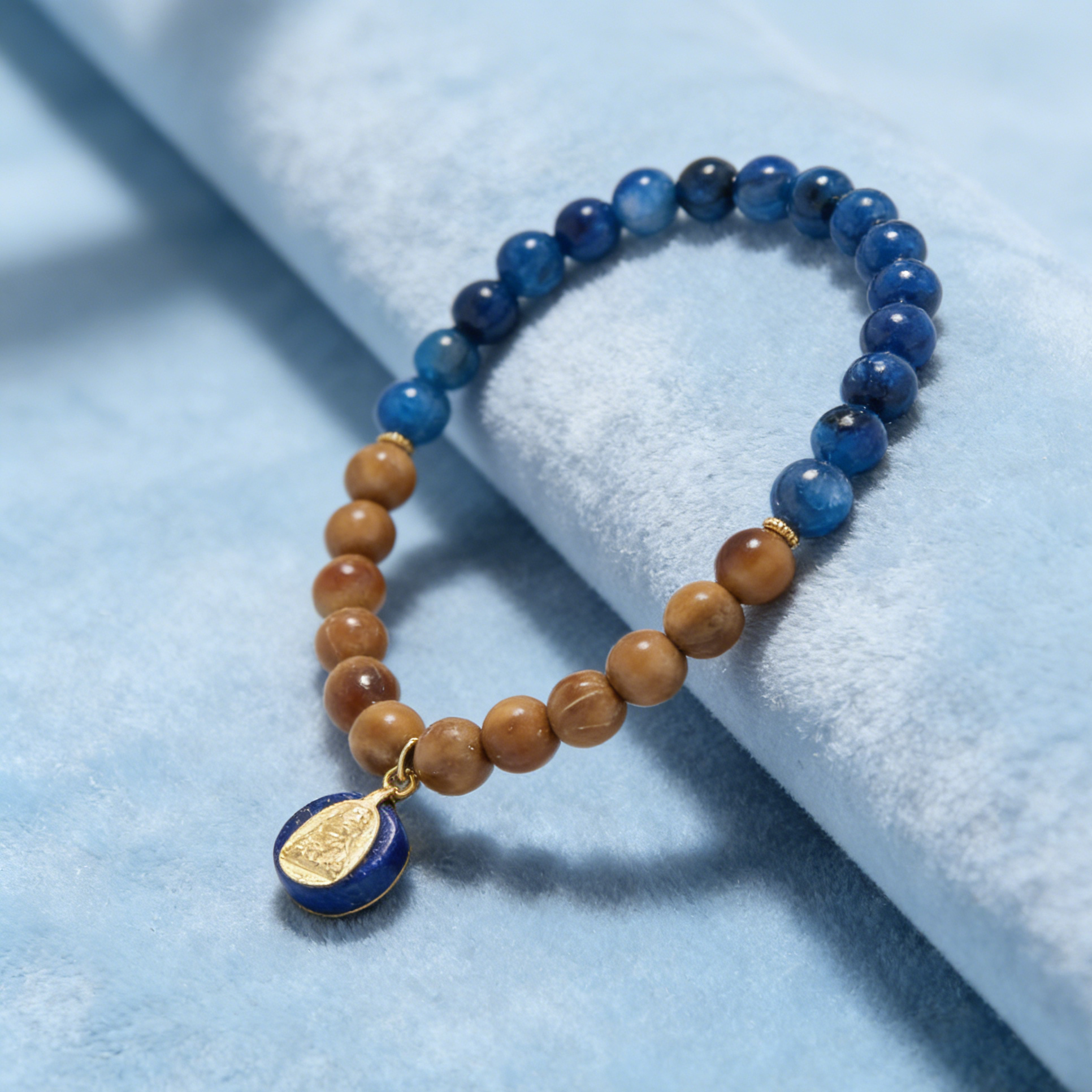 “Karmic Sentinel”